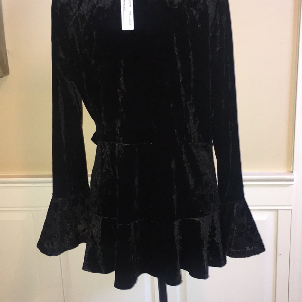 Velvet Blouse - Picture 3 of 5